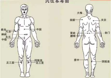 夏天如何祛湿,穴位图